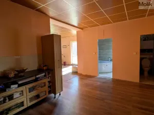 Prodej komerční nemovitosti, Litvínov - Horní Litvínov, Alešova, 506 m2