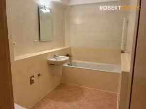Pronájem bytu 1+kk, Praha - Libeň, Nad Okrouhlíkem, 48 m2