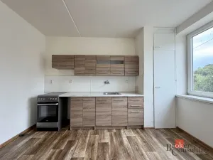 Pronájem bytu 3+1, Bezvěrov - Dolní Jamné, 80 m2