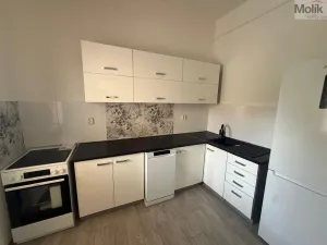 Pronájem bytu 3+1, Chomutov, Školní, 80 m2