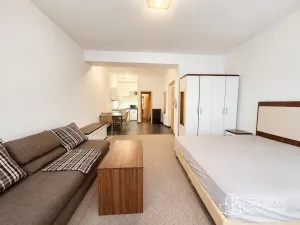 Pronájem bytu 1+kk, Karlovy Vary, Divadelní, 30 m2