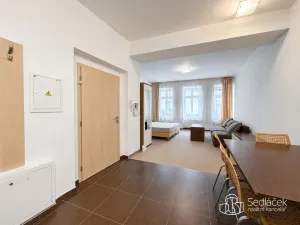 Pronájem bytu 1+kk, Karlovy Vary, Divadelní, 30 m2
