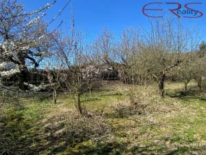 Prodej pozemku pro bydlení, Niměřice - Horní Cetno, 3869 m2