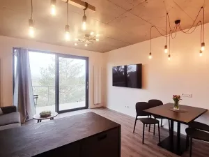 Pronájem bytu 2+kk, Brno, V rejích, 49 m2