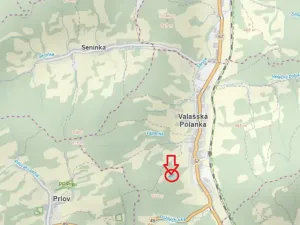 Prodej lesa, Valašská Polanka, 2904 m2