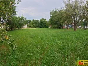 Prodej pozemku pro bydlení, Drnovice, 1180 m2
