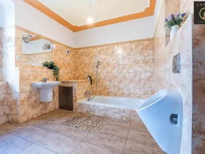Prodej rodinného domu, Vyklantice - Staré Vyklantice, 300 m2