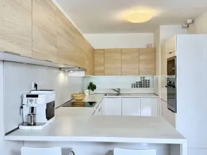 Prodej bytu 3+kk, Brno, Majdalenky, 115 m2