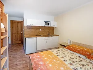 Prodej ubytování, Bartošovice v Orlických horách, 500 m2