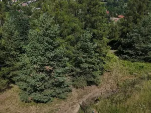 Prodej pozemku, Čtyřkoly, 3254 m2