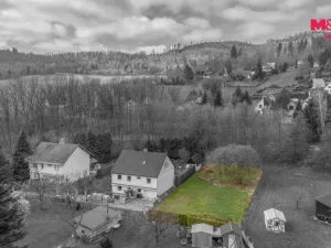 Prodej pozemku pro bydlení, Město Albrechtice, 824 m2