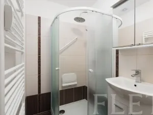 Prodej bytu 2+1, Praha - Žižkov, Loudova, 61 m2