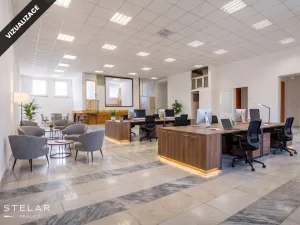 Prodej obchodního prostoru, Opava, 230 m2
