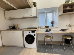 Prodej bytu 1+kk, Opava - Předměstí, Alšova, 15 m2