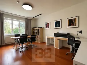 Pronájem vily, Brno, Březinova, 362 m2