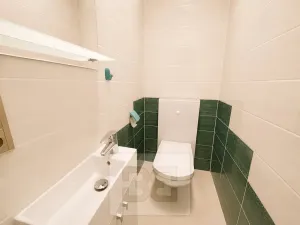 Pronájem vily, Brno, Březinova, 362 m2