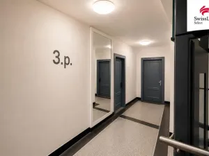 Pronájem bytu 2+kk, Praha - Žižkov, Jeseniova, 58 m2