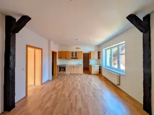 Prodej bytu 1+1, Plavy, 64 m2