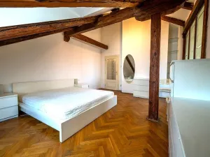Pronájem bytu 3+1, Praha, Viktora Huga, 164 m2