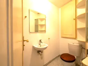 Pronájem bytu 3+1, Praha, Viktora Huga, 164 m2