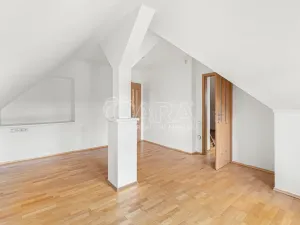 Prodej vícegeneračního domu, Litoměřice - Předměstí, Vančurova, 343 m2