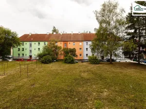 Prodej bytu 2+1, Cheb, Riegerova, 42 m2