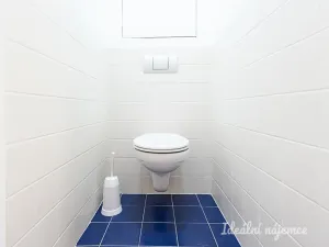 Pronájem bytu 3+kk, Praha - Žižkov, Lupáčova, 62 m2
