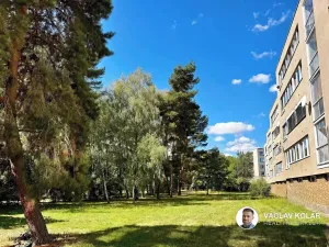 Prodej bytu 3+1, Hradec Králové, Čajkovského, 73 m2