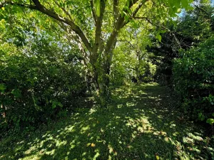 Prodej rodinného domu, Pavlovice u Přerova, 130 m2