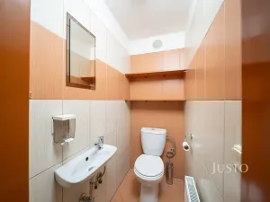 Prodej bytu 1+kk, Třeboň, Šmeralova, 42 m2