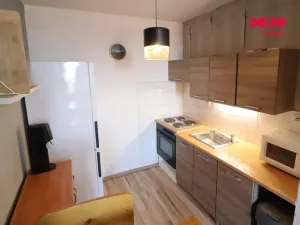 Prodej bytu 1+kk, Most, Česká, 33 m2