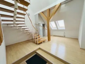 Pronájem bytu 5+kk, Praha - Vinohrady, Mánesova, 300 m2