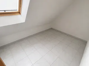 Pronájem bytu 5+kk, Praha - Vinohrady, Mánesova, 300 m2