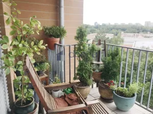 Pronájem bytu 2+kk, Praha, Květinková, 70 m2