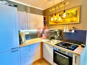 Pronájem bytu 1+1, Ostrava, Garážní, 40 m2