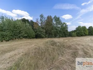 Prodej pozemku pro bydlení, Merklín, 1080 m2