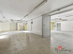 Pronájem výrobních prostor, Blešno, 435 m2