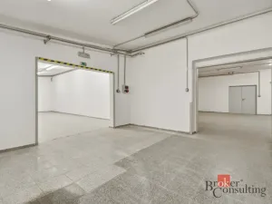 Pronájem výrobních prostor, Blešno, 435 m2