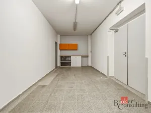 Pronájem výrobních prostor, Blešno, 435 m2