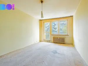 Prodej bytu 1+1, Karviná, Borovského, 43 m2