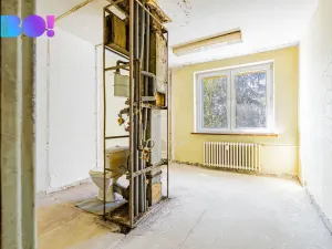Prodej bytu 1+1, Karviná, Borovského, 43 m2