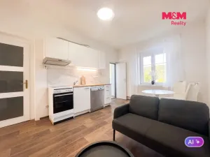 Prodej bytu 2+kk, Ústí nad Labem - Střekov, Purkyňova, 48 m2