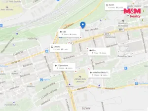 Prodej bytu 2+kk, Praha - Žižkov, Nad Ohradou, 63 m2
