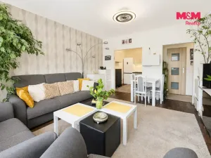 Prodej bytu 2+1, Nový Jičín - Loučka, Na Lani, 50 m2