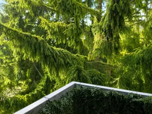 Prodej bytu 2+kk, Nučice, U Nádraží, 49 m2