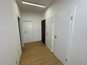 Pronájem bytu 2+1, Brno, Kotlářská, 53 m2