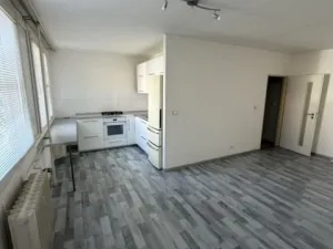 Pronájem bytu 1+kk, Beroun, Karla Čapka, 38 m2
