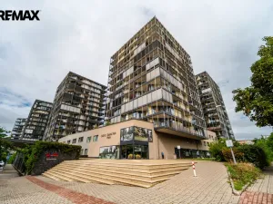 Pronájem bytu 1+kk, Praha - Žižkov, Pitterova, 44 m2