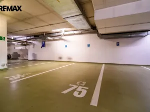 Pronájem bytu 1+kk, Praha - Žižkov, Pitterova, 44 m2
