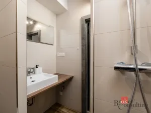 Prodej bytu 2+kk, Plzeň - Východní Předměstí, Kartónová, 56 m2